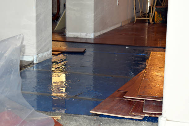 Professional Water Damage Restoration technician working in Winfield, AL